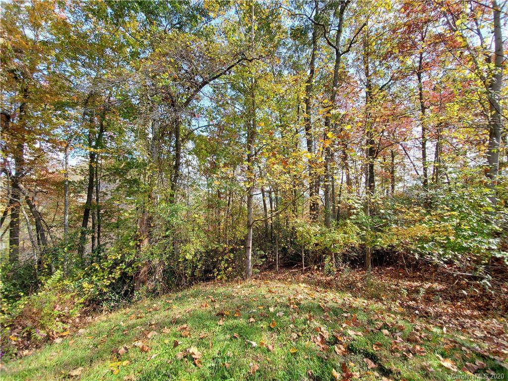 1927 Tree View Trail - Photo 1