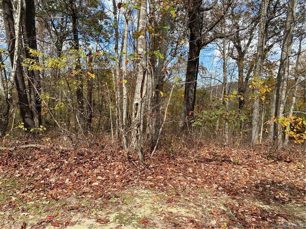 L15 Meadow Ridge Drive - Photo 1