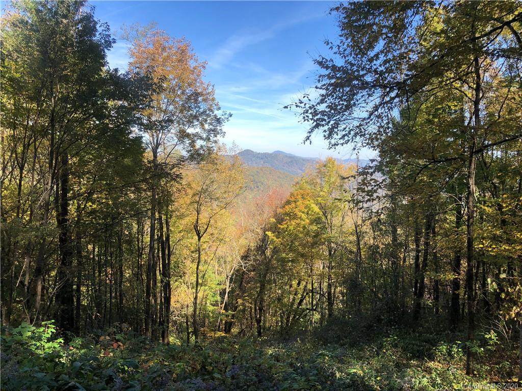 Lot 232 Tannehill Lane - Photo 1