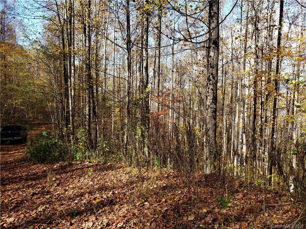 65 C Bear Springs Road - Photo 1