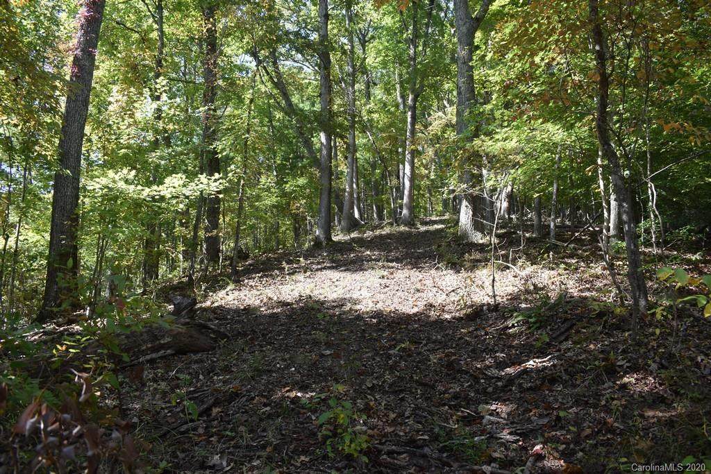 00 Riddle Farm Road - Photo 1