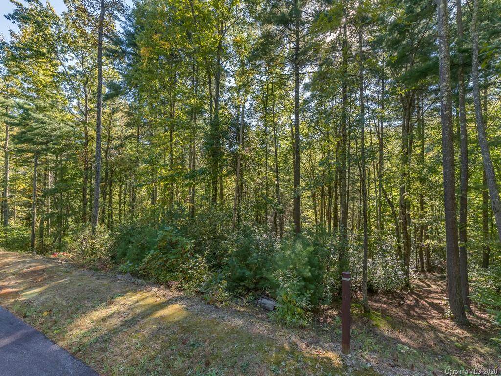 LOT 115 Huckleberry Ridge Lane - Photo 1