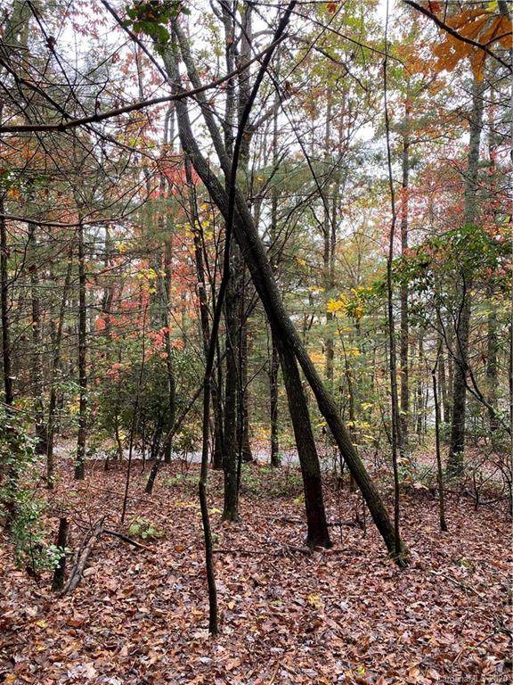 5A Dogwood Circle - Photo 1