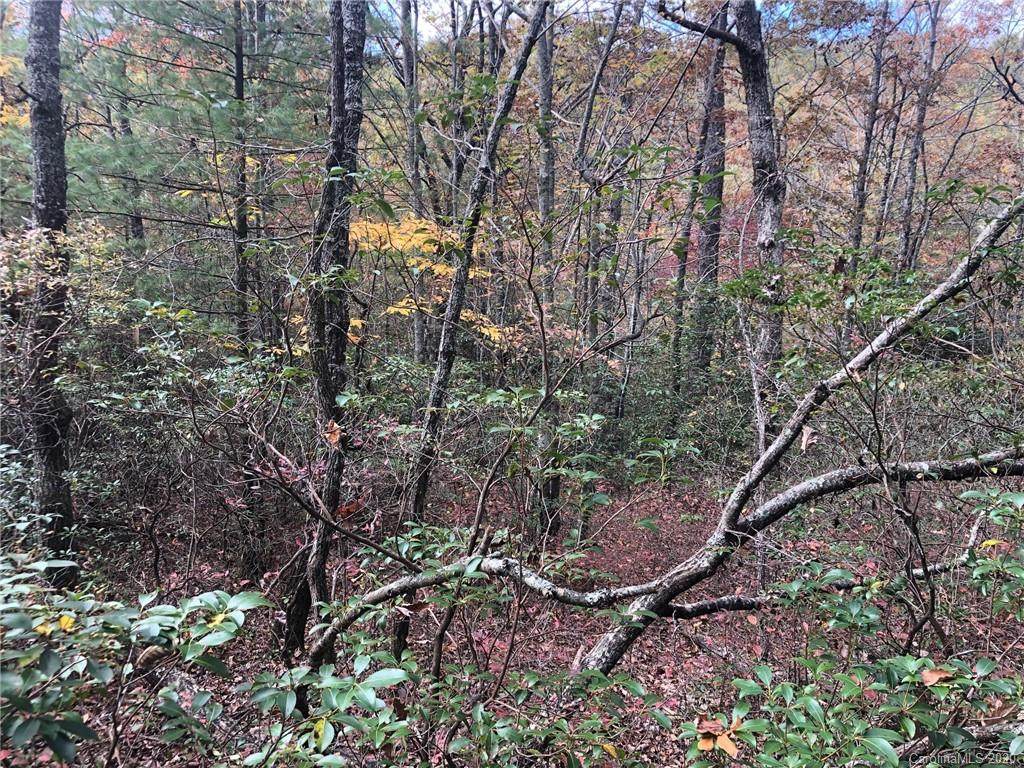 Lot 5 Oriole Road - Photo 1