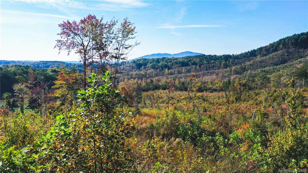 0 Bills Creek Road - Photo 1
