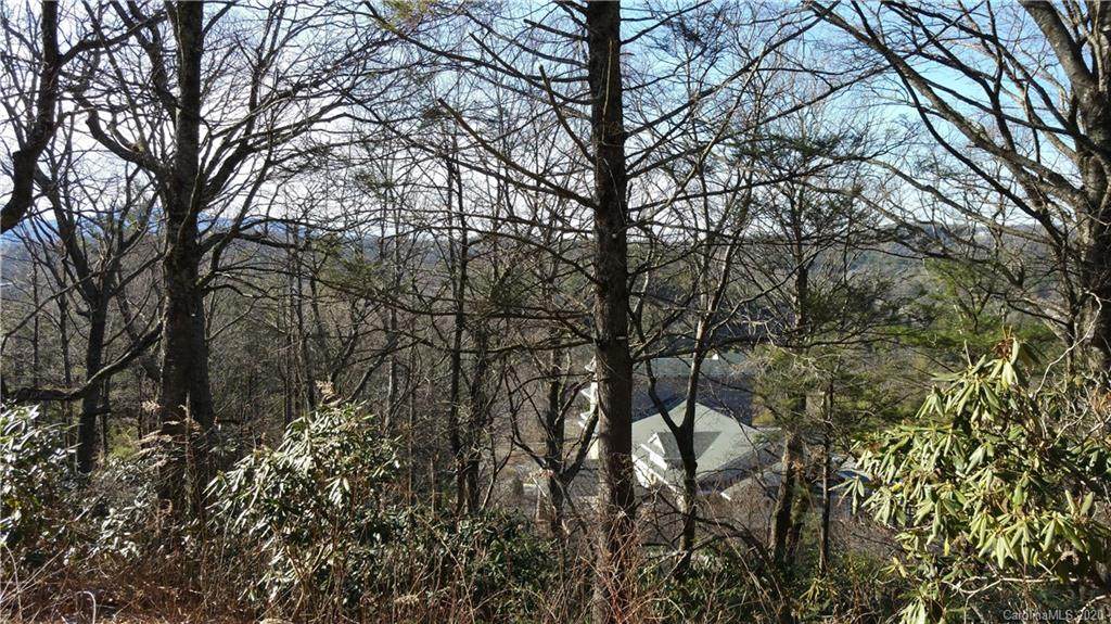 Lot 5 Clawson Drive - Photo 1