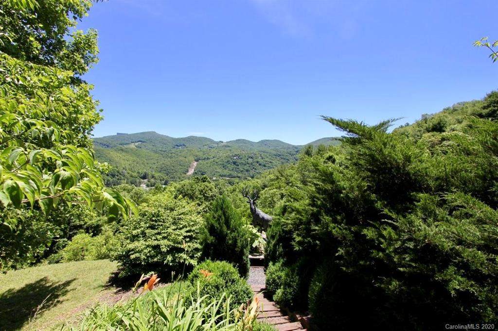 Lot 40 Gray Fox Lane - Photo 1