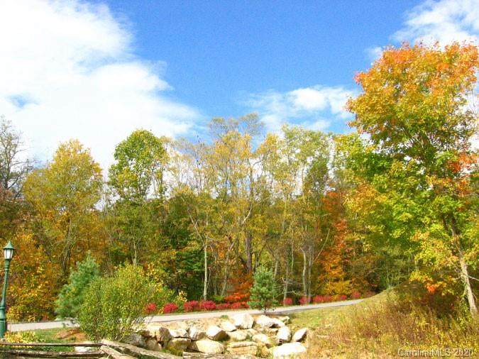 Lot 44 Silver Springs Drive - Photo 1
