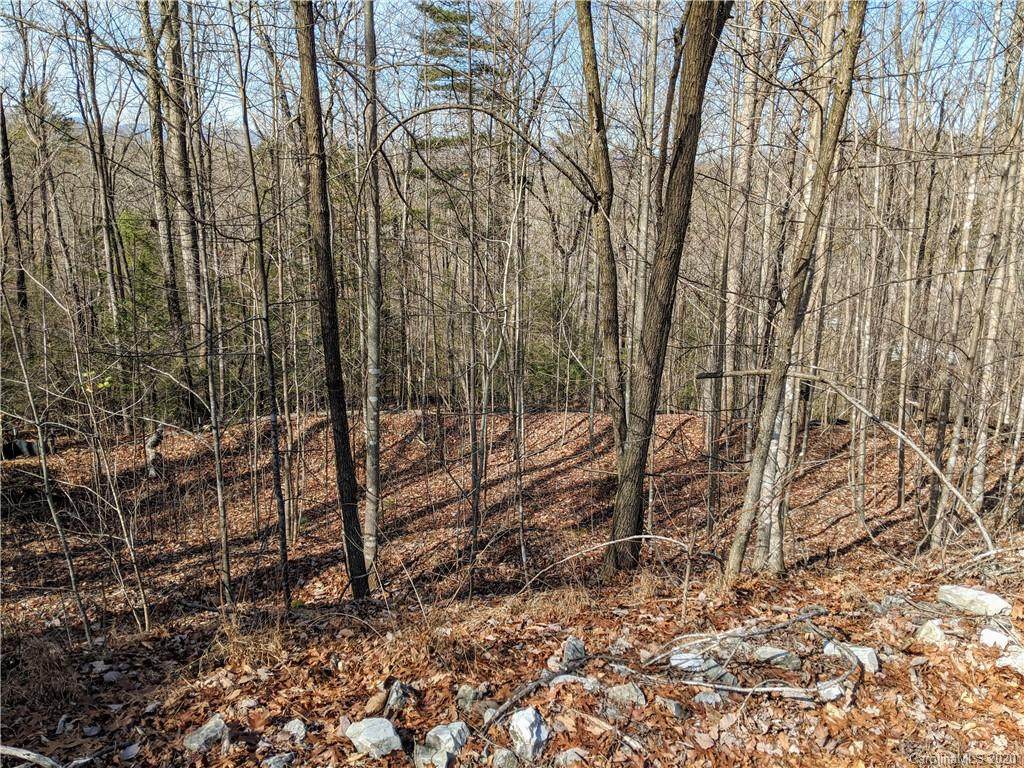 7 Forest Den Drive - Photo 1