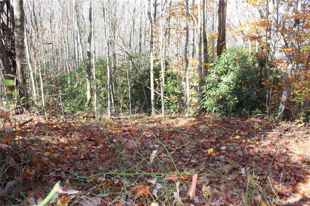 0 Hickory Nut Gap Road - Photo 1