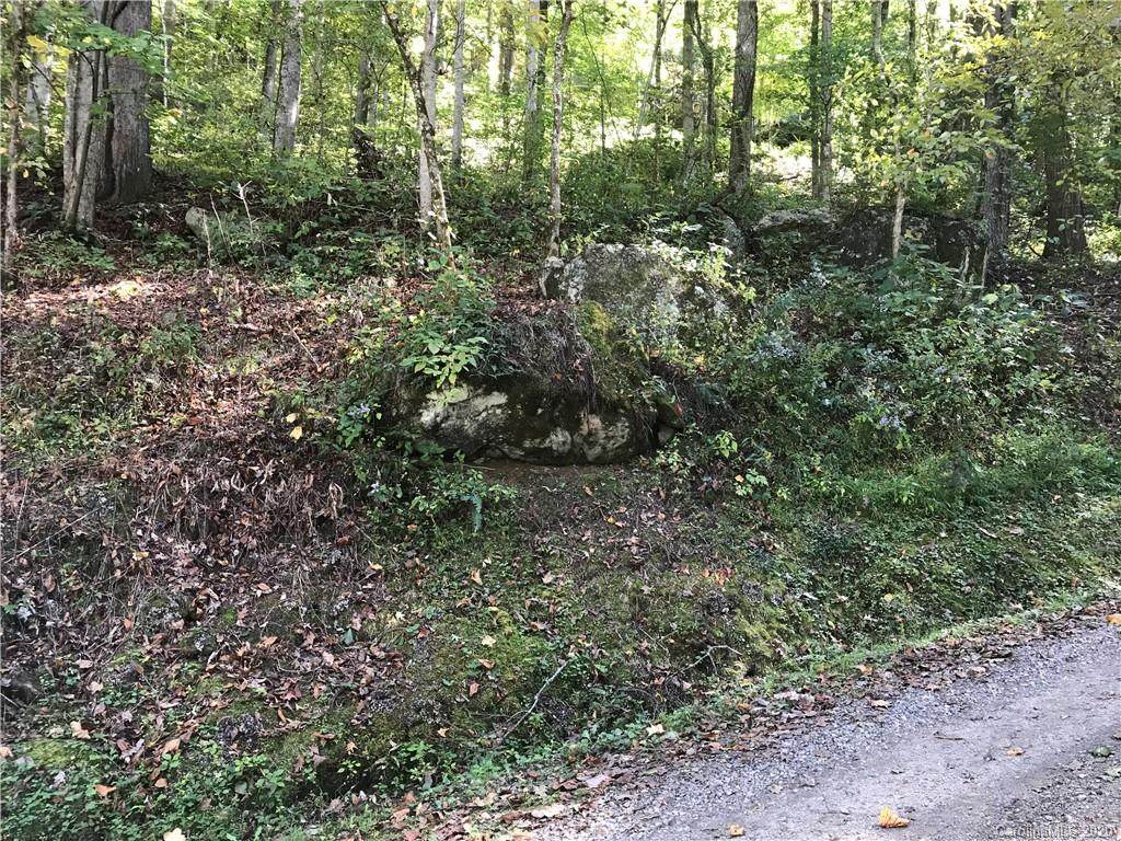 Lot 21 Fall Creek Road - Photo 1
