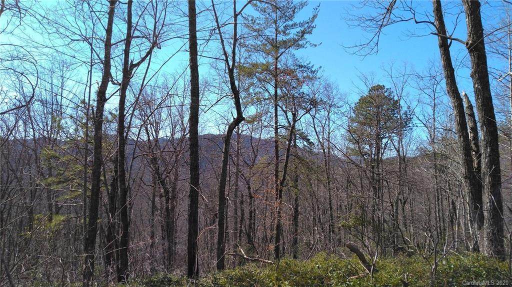 #25 Crooked Creek Estates Drive - Photo 1