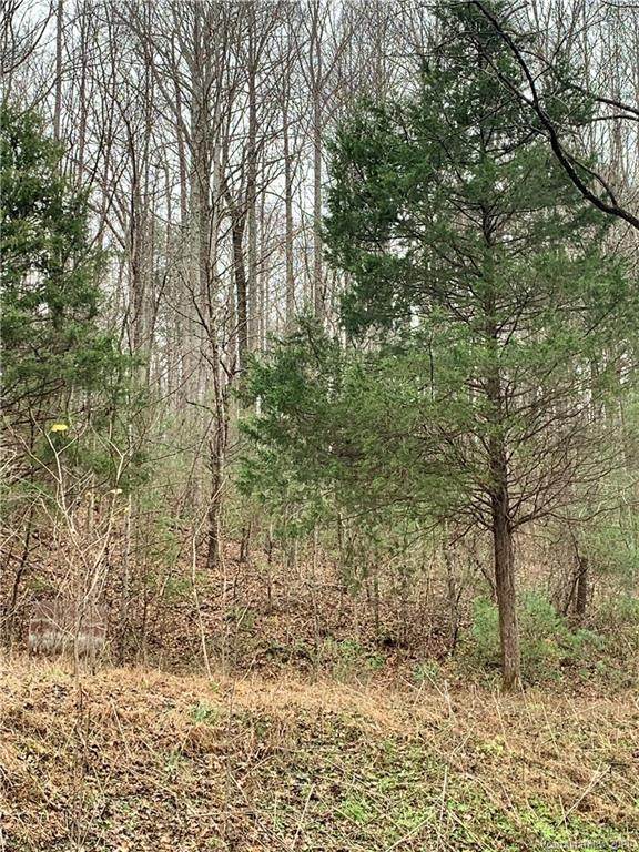 000 Fork Creek Road - Photo 1