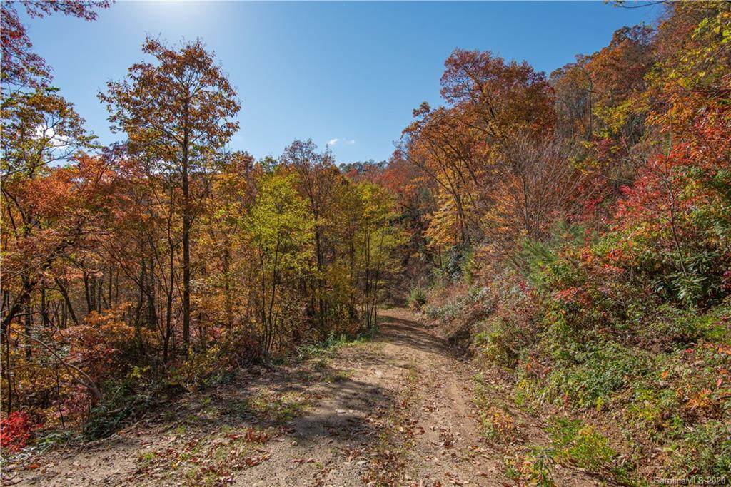 Tract 17 Sigogglin Trail - Photo 1