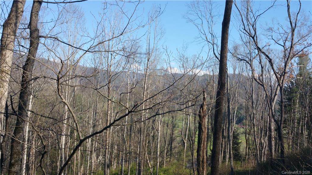 230 Shining Rock Path - Photo 1