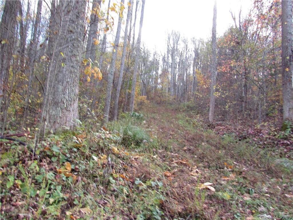 E- 3 Red Wolf Run - Photo 1