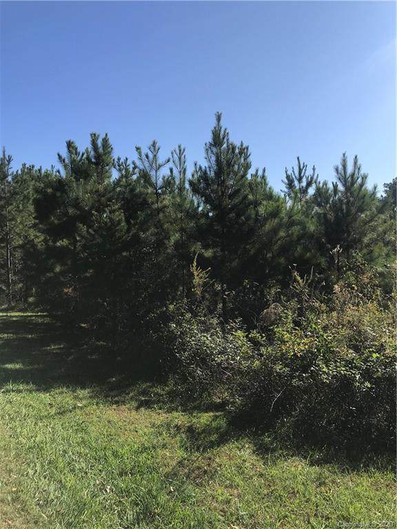 0 Lee Branch Road - Photo 1