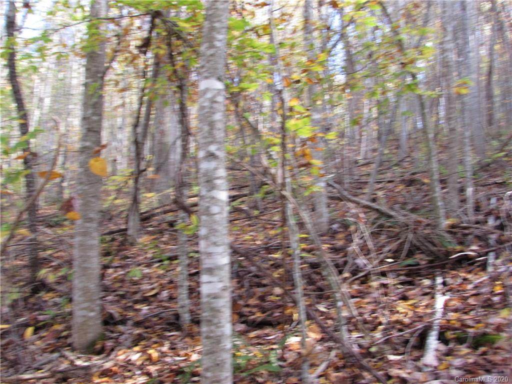E- 8 Red Wolf Run - Photo 1