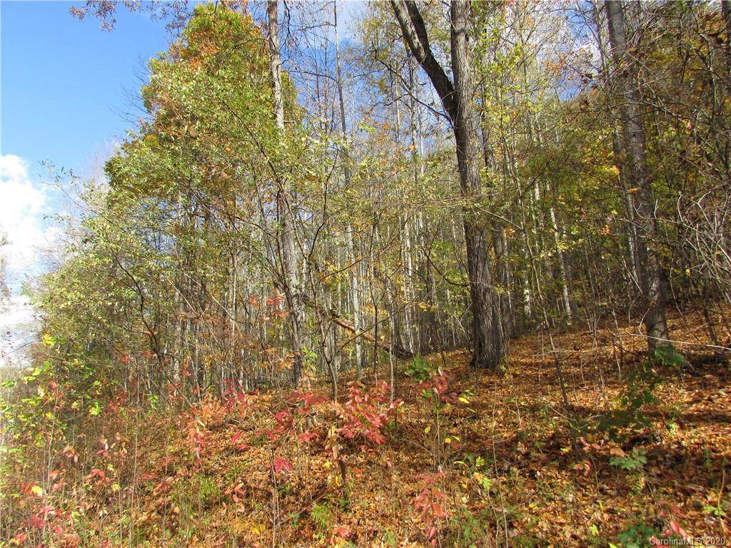 E- 13 Red Wolf Run - Photo 1