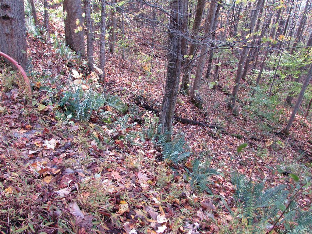 E- 15 Red Wolf Run - Photo 1