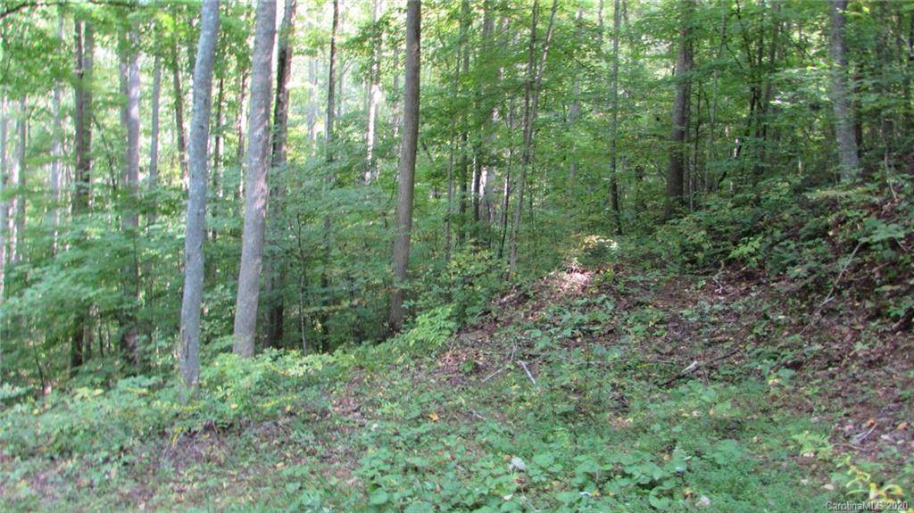 E- 18 Red Wolf Run - Photo 1