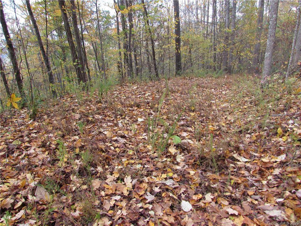 E- 20 Red Wolf Run - Photo 1
