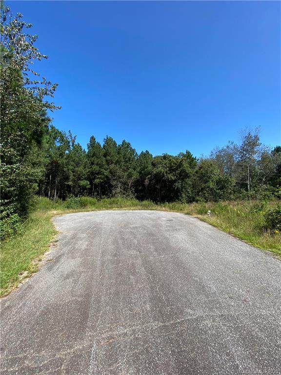 Lot B Mossborough Drive - Photo 1
