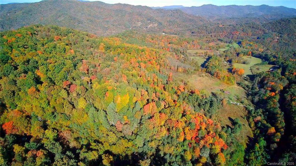 90+/- Acres Rabbit Skin Road - Photo 1
