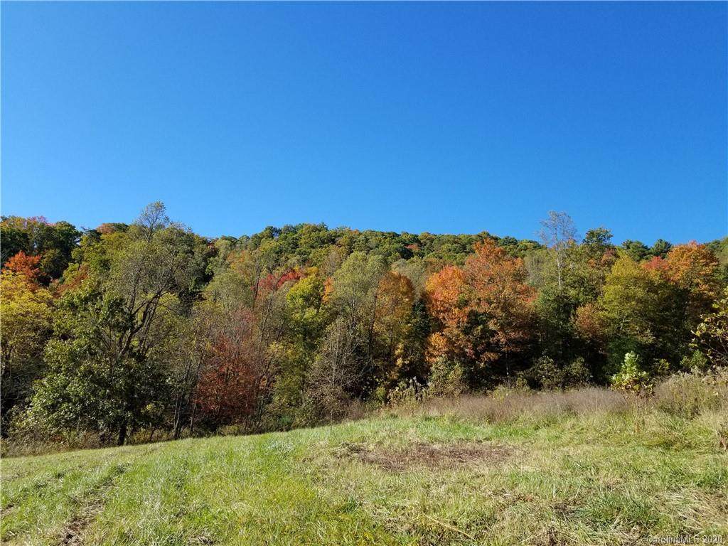 Tracts 4A & 5A Rabbit Skin Road - Photo 1