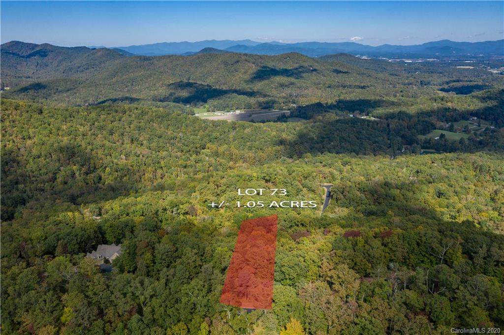 1166 Mills River Way - Photo 1