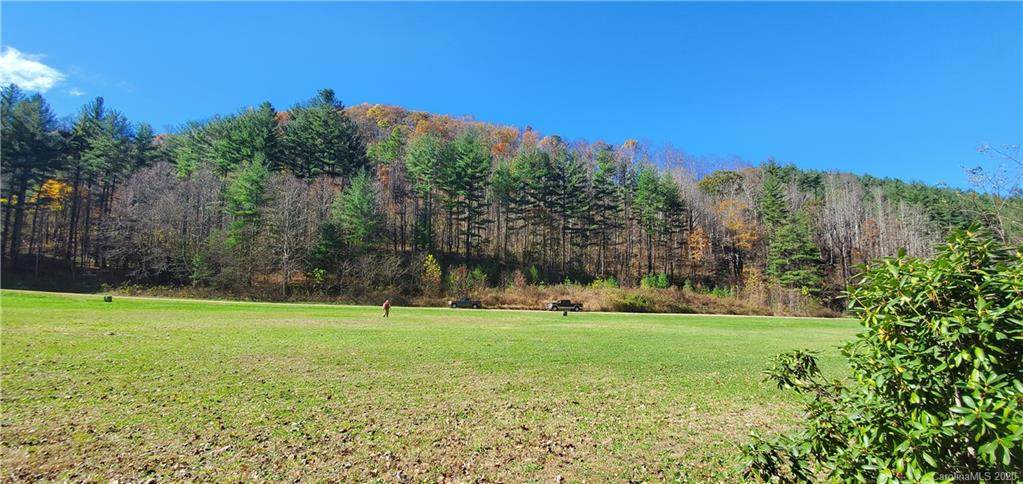 Lot 19 Shining Rock Drive - Photo 1