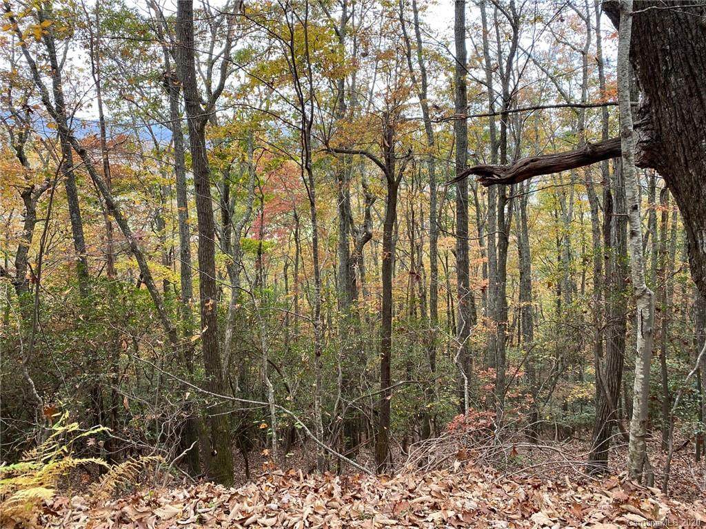 Lot 50 Laurel Drive - Photo 1