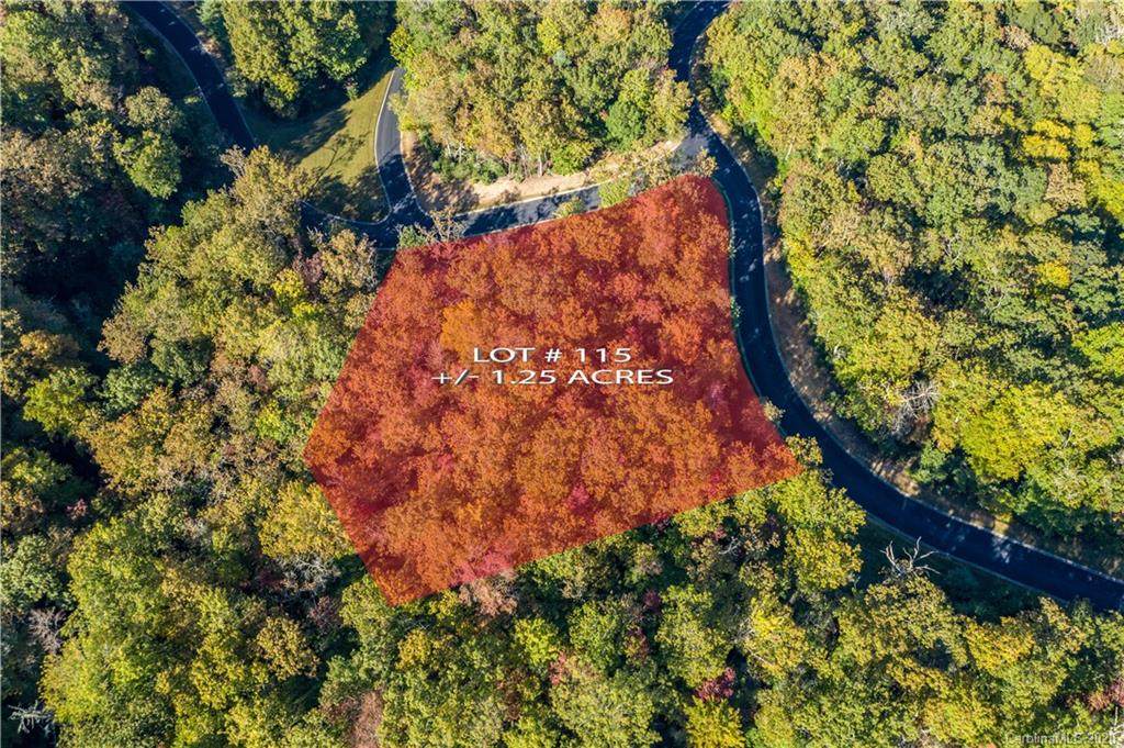 Lot 115 May Fly Lane - Photo 1