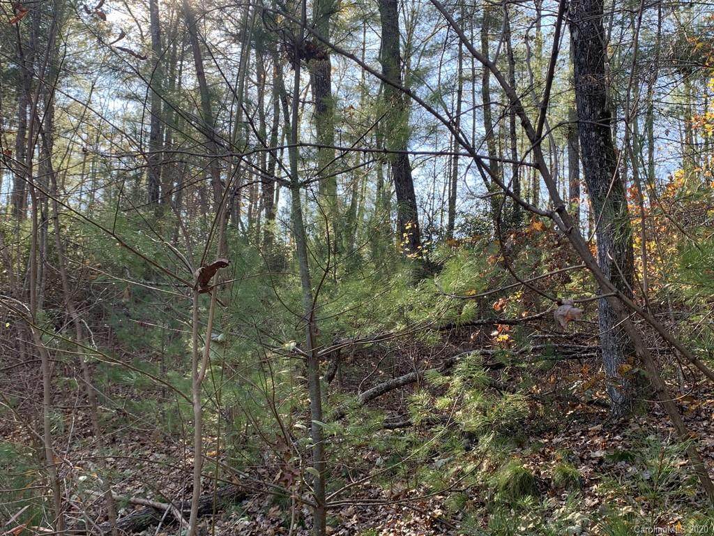 Lot 83 Mountain Home Trail - Photo 1