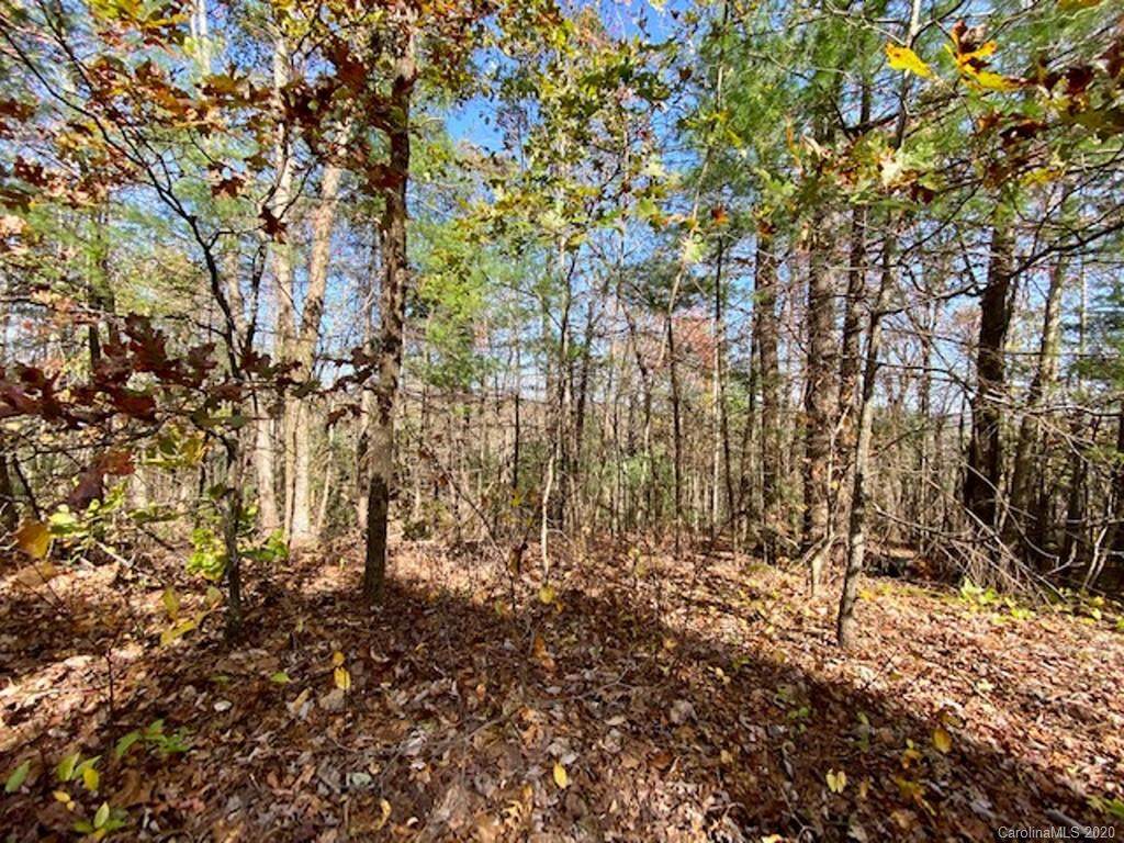 Lot 7 Ben Hi Road - Photo 1