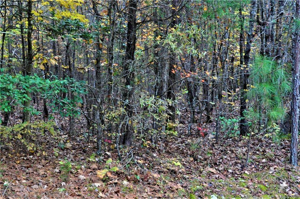 3560 Greystone Drive - Photo 1