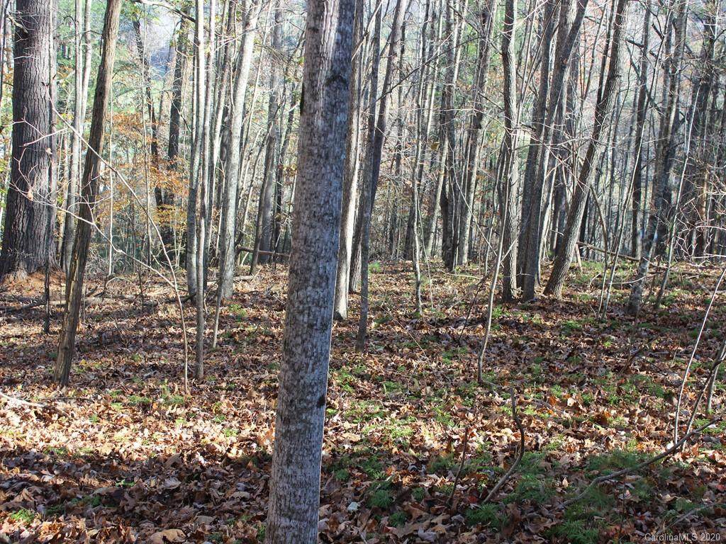 00 Nc Hwy 197 - Photo 1