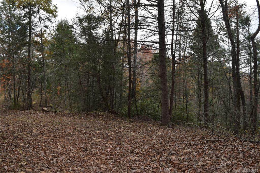 V/L Henry Mccall Road - Photo 1