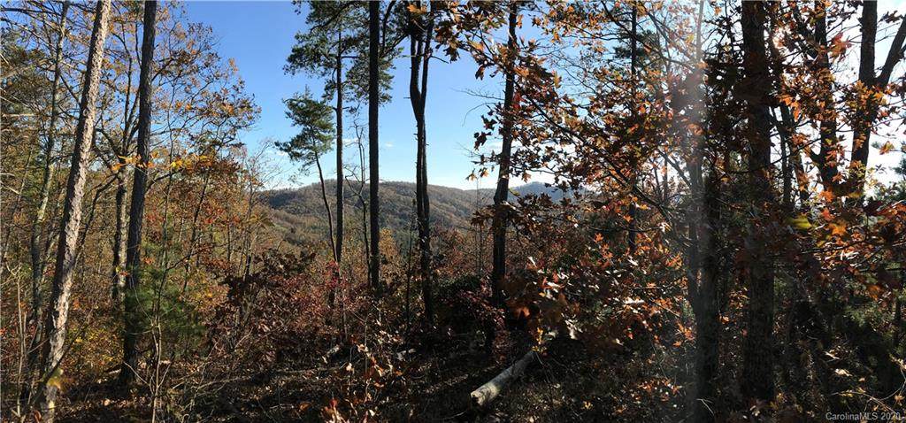 V/L 238 Scenic Vista Drive - Photo 1