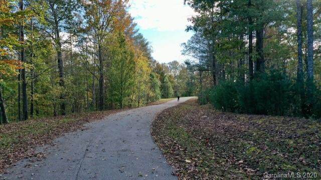 Lot 25 Walnut Ridge Drive - Photo 1