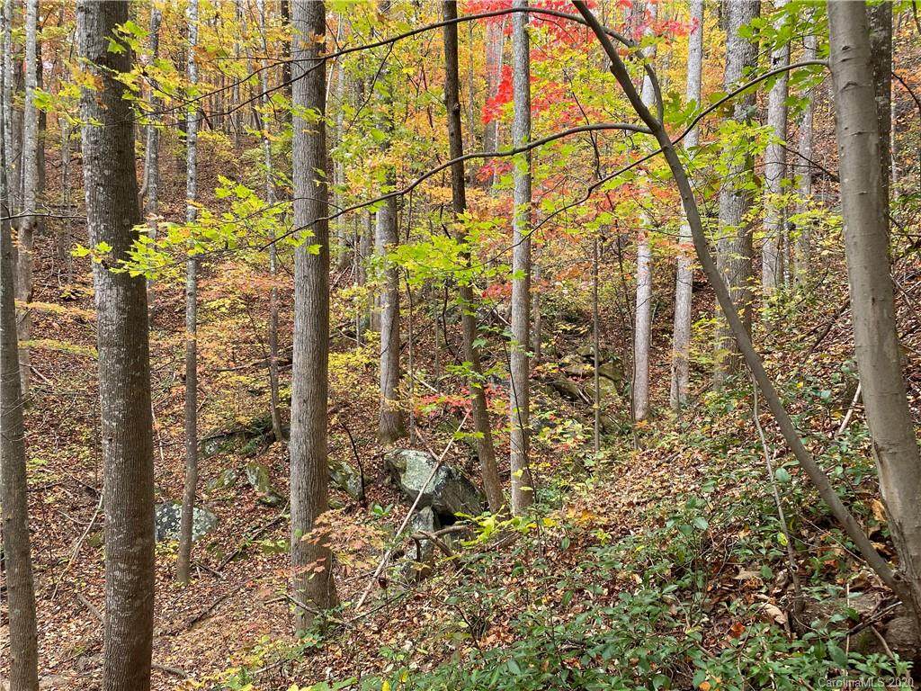 000 Grey Rock Parkway - Photo 1
