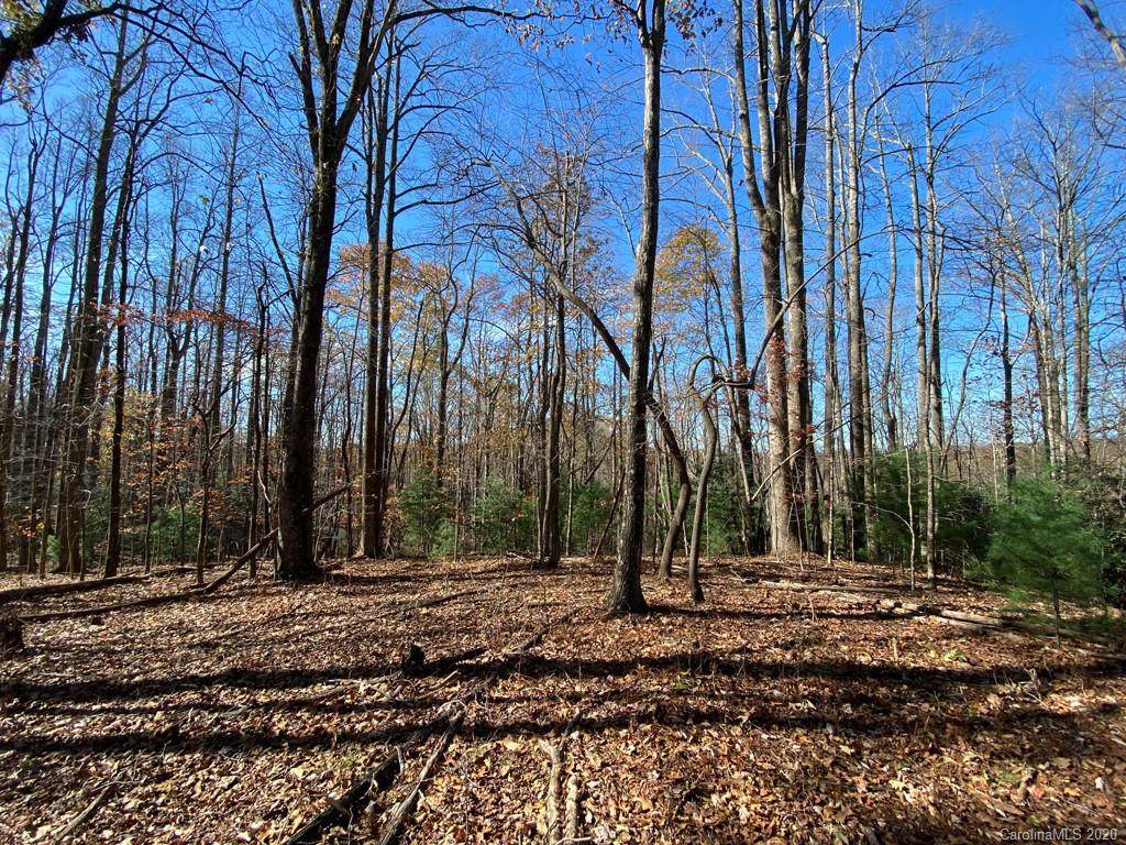 TBD Steel Creek Road - Photo 1
