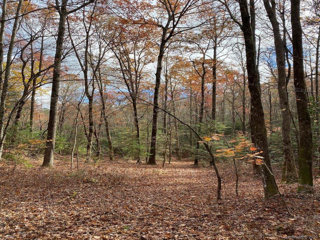 TBD Burrell Mountain Road - Photo 1