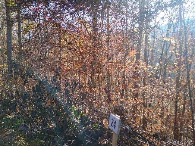 9999 Gardenside Road - Photo 1