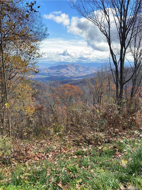00 Cove Creek Road - Photo 1