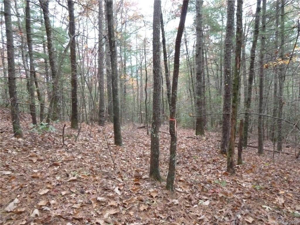 87 Oak Laurel Lane - Photo 1