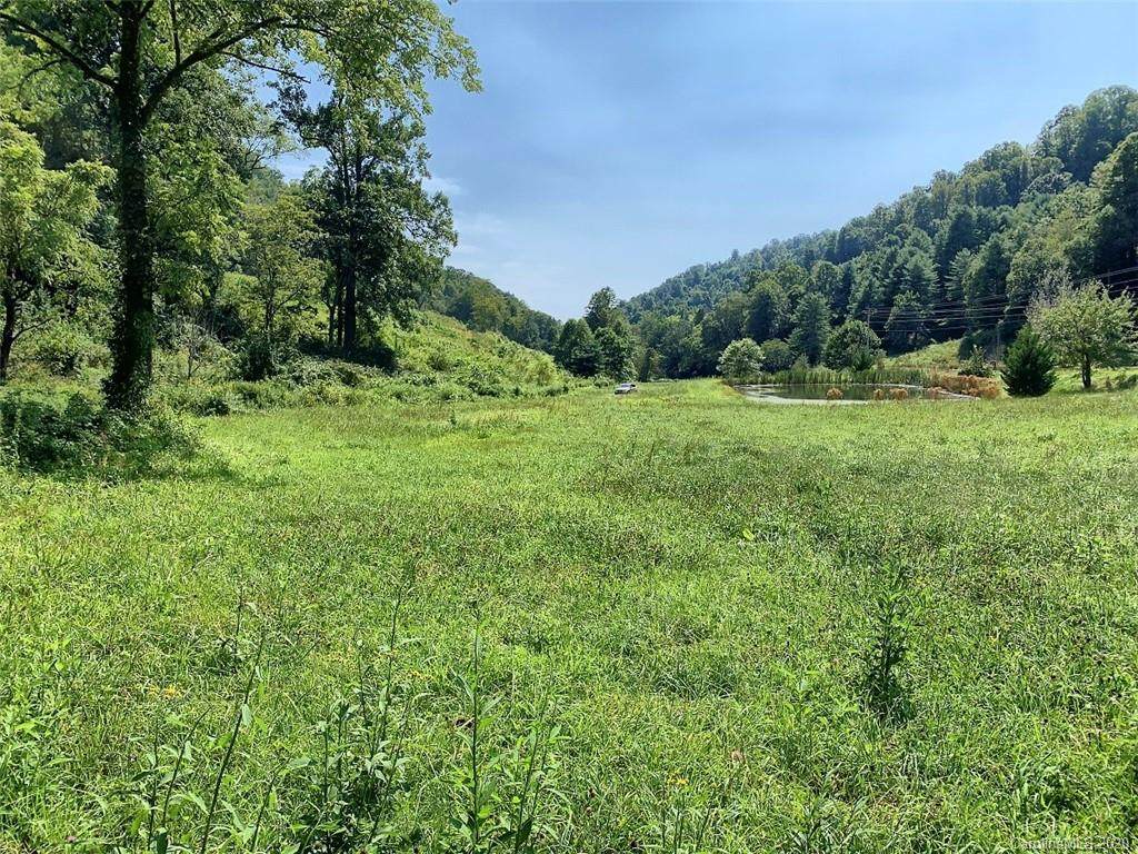 00 Walnut Creek Road - Photo 1