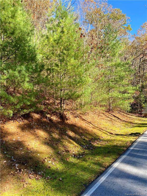 Lot 100 Hawk Mountain Road - Photo 1