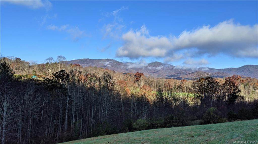 Lot #10 Lindon Cove Road - Photo 1