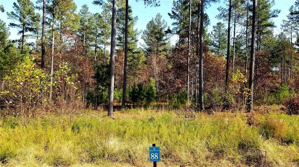0 Big Pine Drive - Photo 1